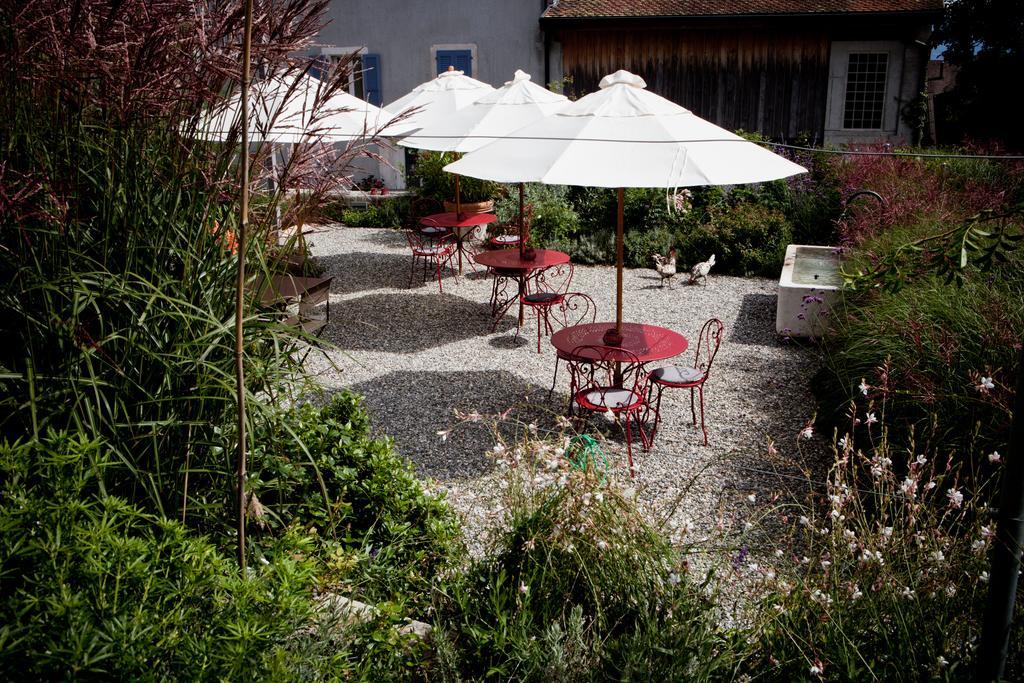 Le Coq Chantant Studios D'Hotes & Boutique Hotel St-Livres Saint-Livres Экстерьер фото