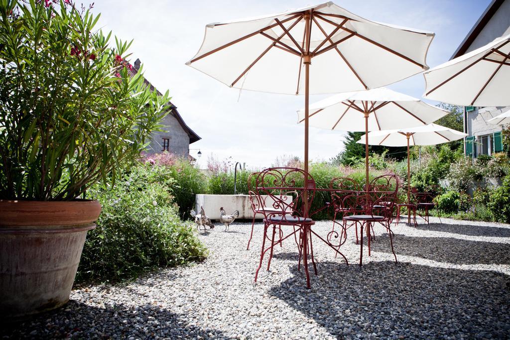Le Coq Chantant Studios D'Hotes & Boutique Hotel St-Livres Saint-Livres Экстерьер фото