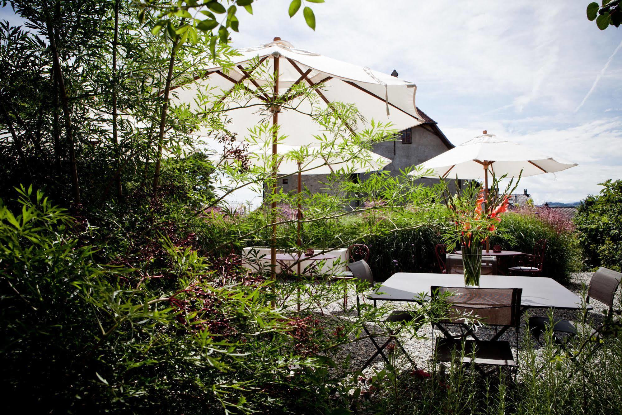 Le Coq Chantant Studios D'Hotes & Boutique Hotel St-Livres Saint-Livres Экстерьер фото